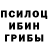 Галлюциногенные грибы мицелий SZI PER