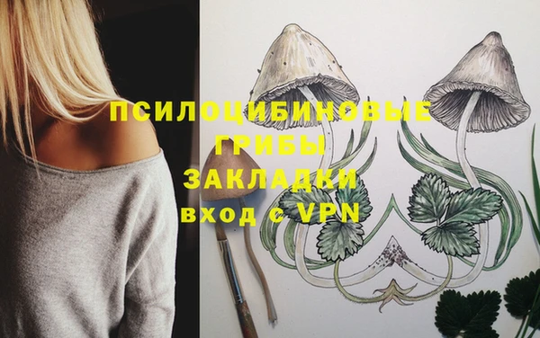 дживик Дмитриев